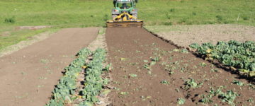 enfouisseur-alpego-ig-iz-5 enfouisseur-alpego-ig-iz-1.jpg